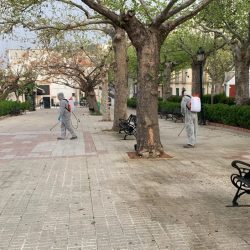 Imagen Desinfeccion Parque